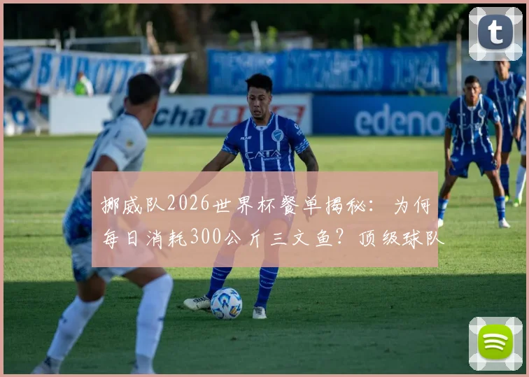 挪威队2026世界杯餐单揭秘：为何每日消耗300公斤三文鱼？顶级球队的饮食后勤与本土物产战略解析